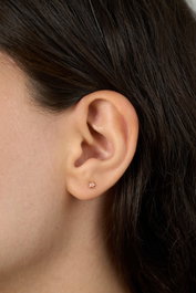 Heliophilia Silver Pendientes en Plata de Ley 925 - Rosa